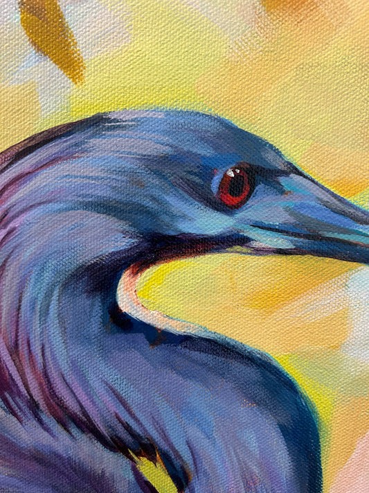 TRI COLOR HERON