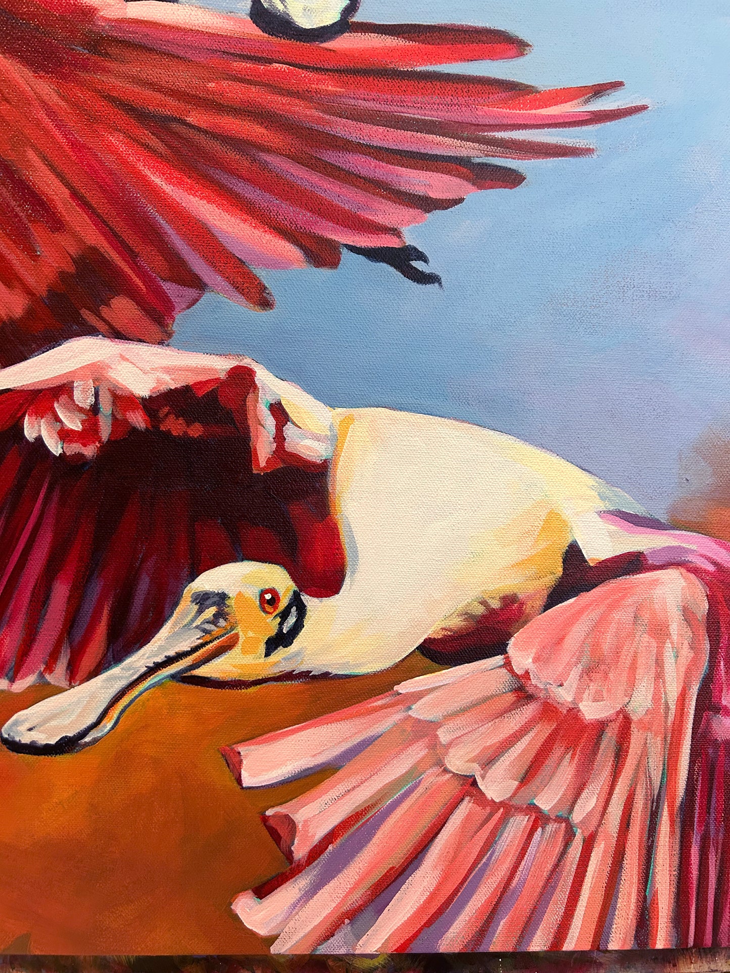 SPOONBILLS IN FLIGHT