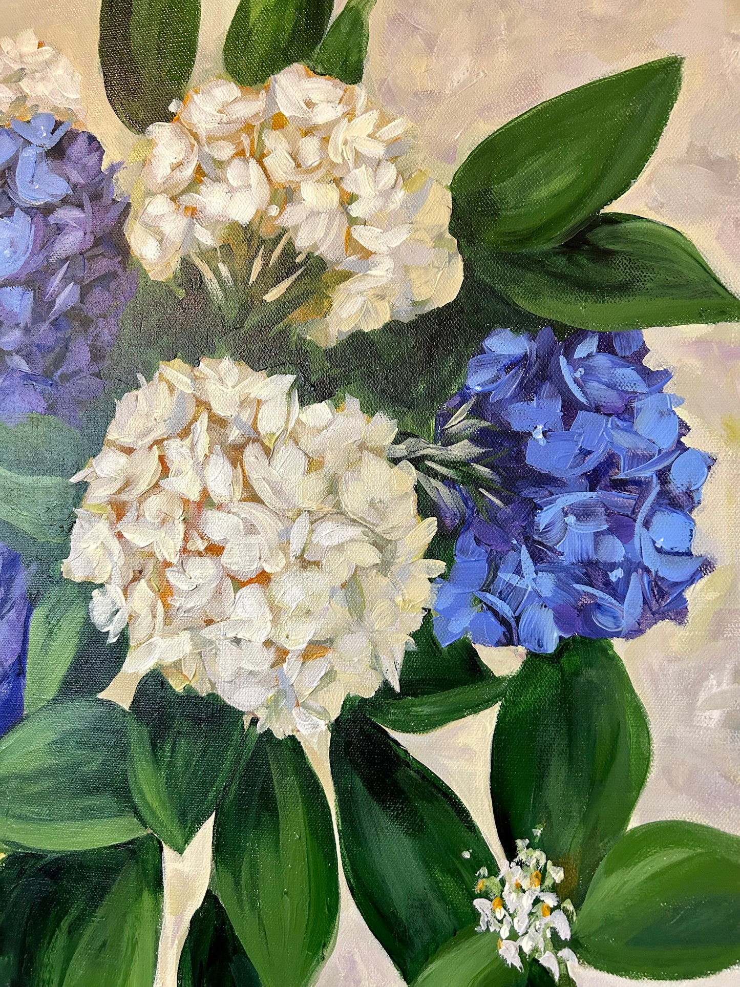 Blue and White Hydrangeas