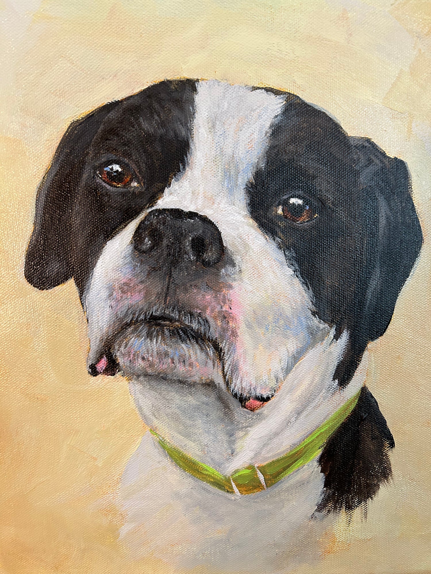 ACRYLIC PET PORTRAITS ON STRETCHED CANVAS