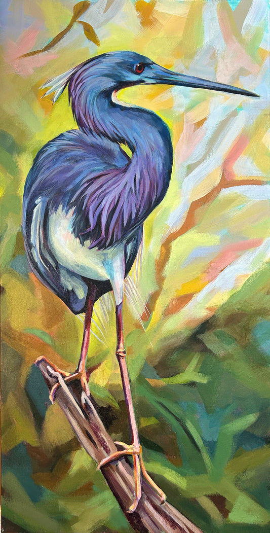 TRI COLOR HERON